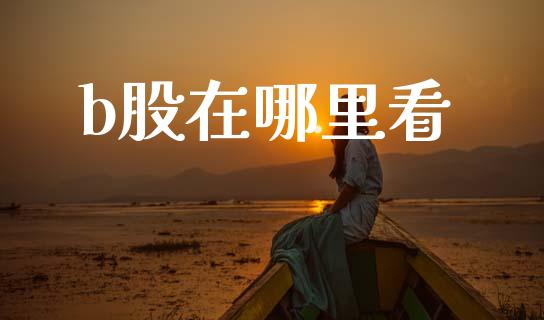 b股在哪里看_https://m.fansifence.com_贵金属行情_第1张