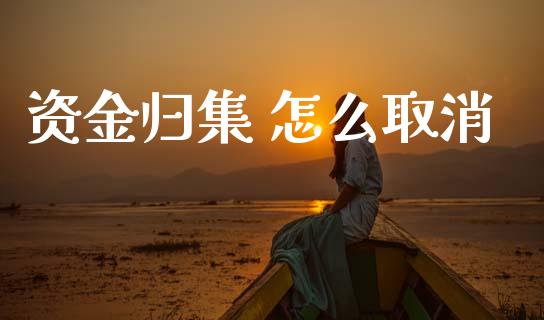 资金归集 怎么取消_https://m.fansifence.com_个股行情_第1张