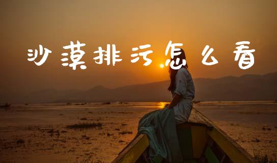 沙漠排污怎么看_https://m.fansifence.com_消费金融_第1张