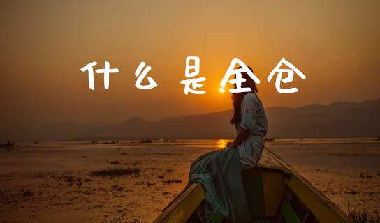 什么是全仓_https://m.fansifence.com_公募基金_第1张