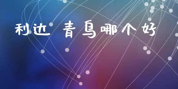 利达 青鸟哪个好_https://m.fansifence.com_贵金属行情_第1张