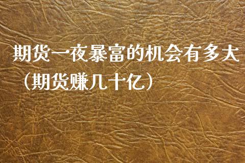 期货一夜暴富的机会有多大（期货赚几十亿）_https://m.fansifence.com_公募基金_第1张