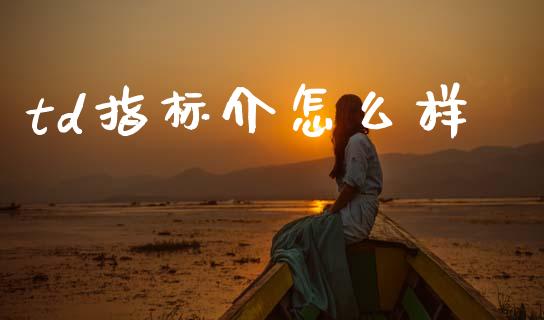 td指标介怎么样_https://m.fansifence.com_消费金融_第1张