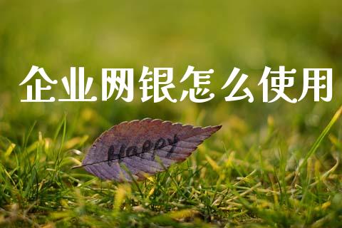 企业网银怎么使用_https://m.fansifence.com_公募基金_第1张