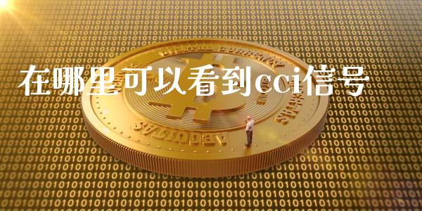 在哪里可以看到cci信号_https://m.fansifence.com_个股行情_第1张