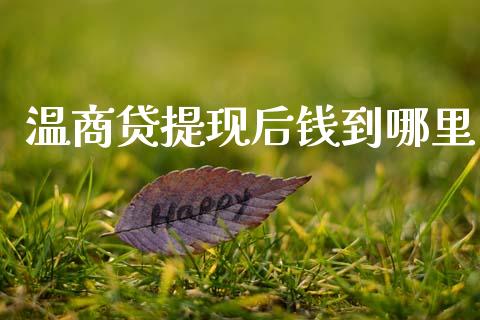 温商贷提现后钱到哪里_https://m.fansifence.com_公募基金_第1张