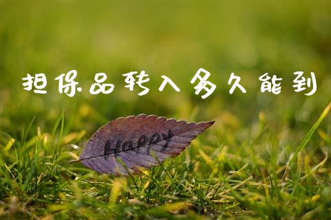 担保品转入多久能到_https://m.fansifence.com_个股行情_第1张