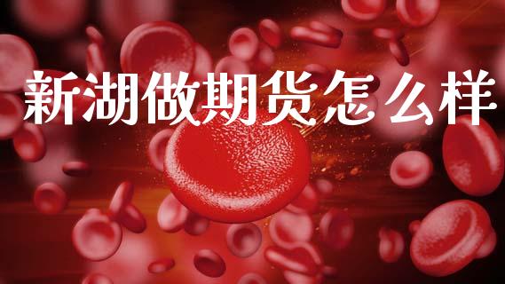 新湖做期货怎么样_https://m.fansifence.com_公募基金_第1张