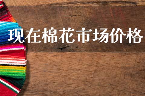 现在棉花市场价格_https://m.fansifence.com_消费金融_第1张