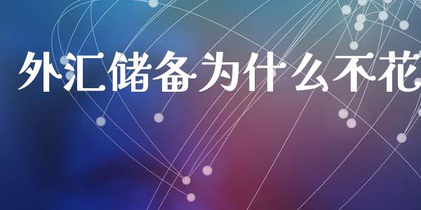 外汇储备为什么不花_https://m.fansifence.com_公募基金_第1张