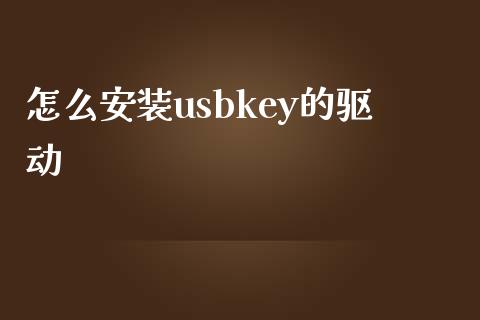 怎么安装usbkey的驱动_https://m.fansifence.com_公募基金_第1张