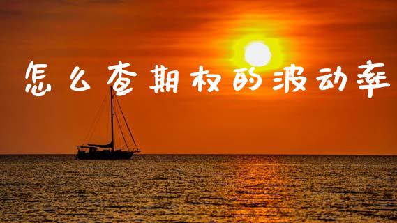 怎么查期权的波动率_https://m.fansifence.com_个股行情_第1张