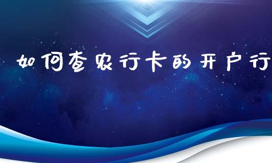 如何查农行卡的开户行_https://m.fansifence.com_个股行情_第1张