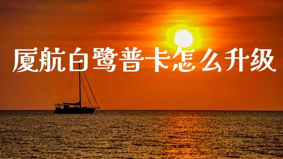 厦航白鹭普卡怎么升级_https://m.fansifence.com_贵金属行情_第1张