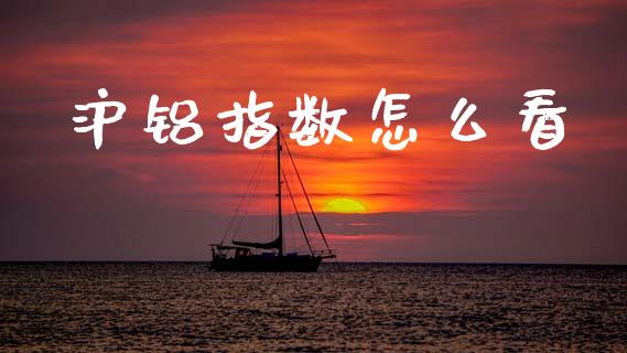 沪铝指数怎么看_https://m.fansifence.com_个股行情_第1张