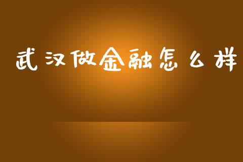 武汉做金融怎么样_https://m.fansifence.com_个股行情_第1张
