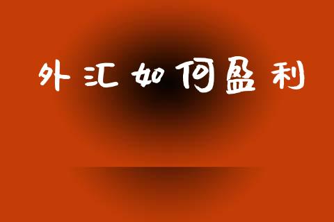 外汇如何盈利_https://m.fansifence.com_消费金融_第1张