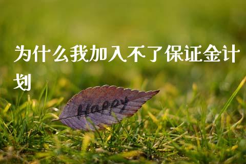 为什么我加入不了保证金计划_https://m.fansifence.com_公募基金_第1张