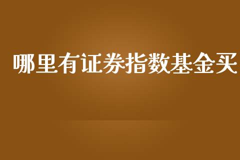 哪里有证券指数基金买_https://m.fansifence.com_贵金属行情_第1张
