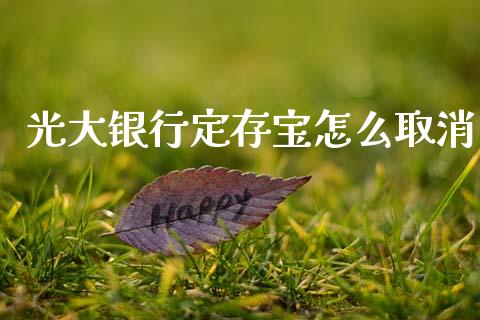 光大银行定存宝怎么取消_https://m.fansifence.com_消费金融_第1张