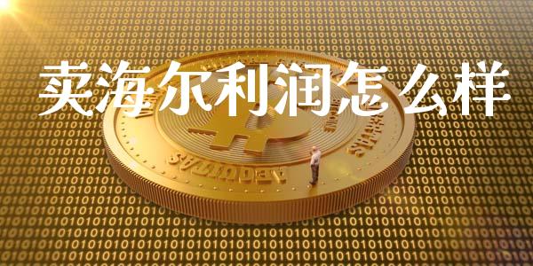 卖海尔利润怎么样_https://m.fansifence.com_消费金融_第1张