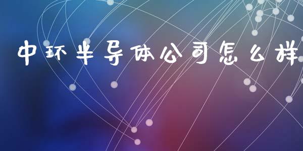 中环半导体公司怎么样_https://m.fansifence.com_消费金融_第1张