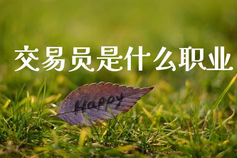交易员是什么职业_https://m.fansifence.com_消费金融_第1张