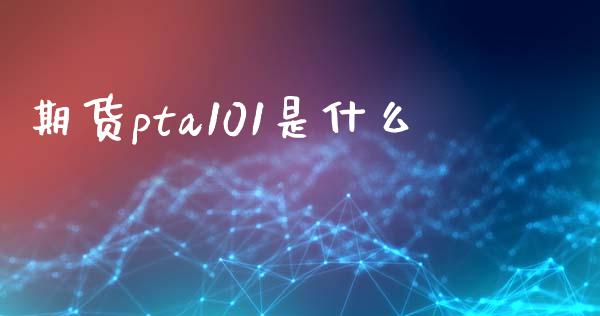 期货pta101是什么_https://m.fansifence.com_公募基金_第1张