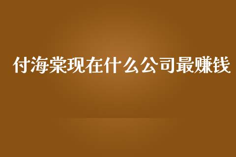 付海棠现在什么公司最赚钱_https://m.fansifence.com_消费金融_第1张