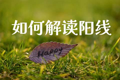 如何解读阳线_https://m.fansifence.com_个股行情_第1张
