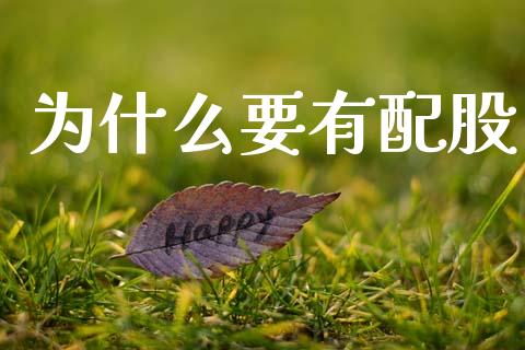 为什么要有配股_https://m.fansifence.com_公募基金_第1张