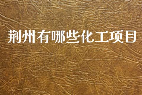 荆州有哪些化工项目_https://m.fansifence.com_公募基金_第1张