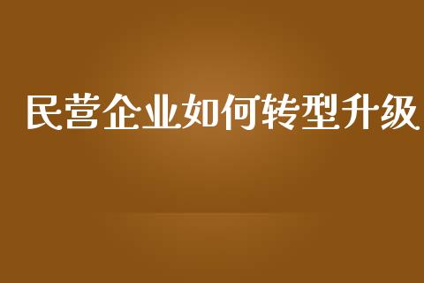民营企业如何转型升级_https://m.fansifence.com_公募基金_第1张