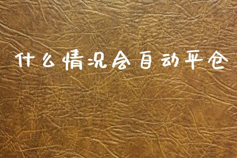 什么情况会自动平仓_https://m.fansifence.com_消费金融_第1张