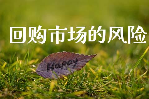 回购市场的风险_https://m.fansifence.com_贵金属行情_第1张
