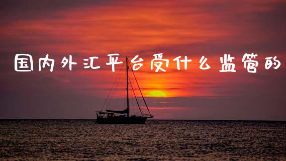 国内外汇平台受什么监管的_https://m.fansifence.com_个股行情_第1张