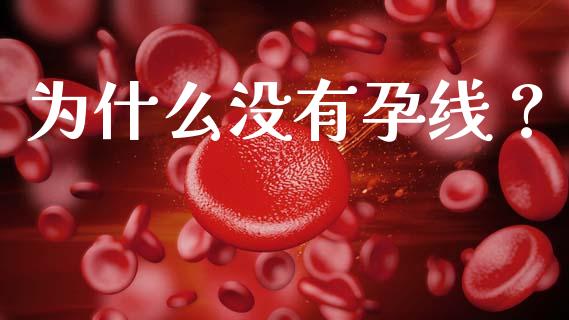 为什么没有孕线？_https://m.fansifence.com_公募基金_第1张