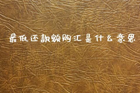最低还款额购汇是什么意思_https://m.fansifence.com_消费金融_第1张