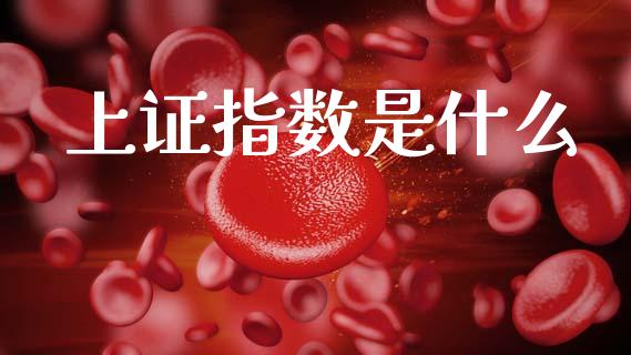 上证指数是什么_https://m.fansifence.com_消费金融_第1张