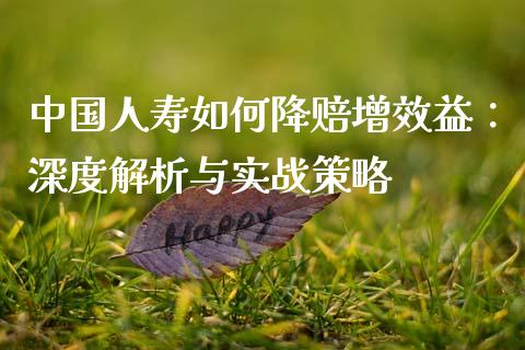 中国人寿如何降赔增效益：深度解析与实战策略_https://m.fansifence.com_公募基金_第1张