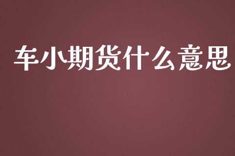 车小期货什么意思_https://m.fansifence.com_公募基金_第1张