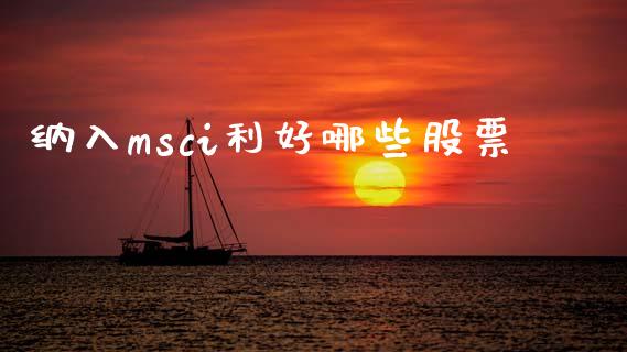 纳入msci利好哪些股票_https://m.fansifence.com_消费金融_第1张