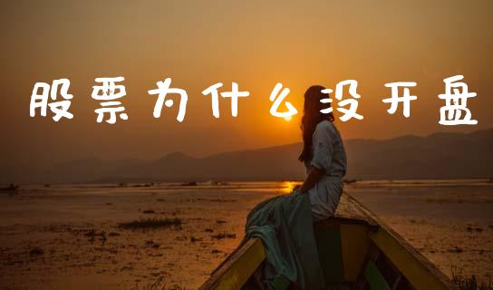 股票为什么没开盘_https://m.fansifence.com_贵金属行情_第1张
