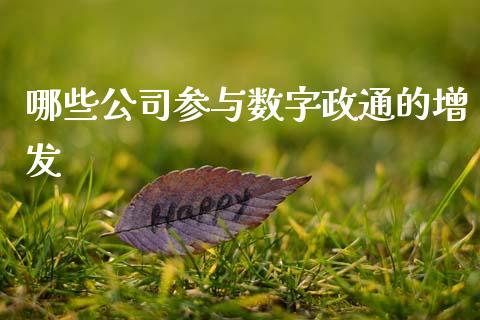 哪些公司参与数字政通的增发_https://m.fansifence.com_个股行情_第1张