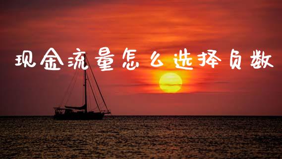 现金流量怎么选择负数_https://m.fansifence.com_贵金属行情_第1张