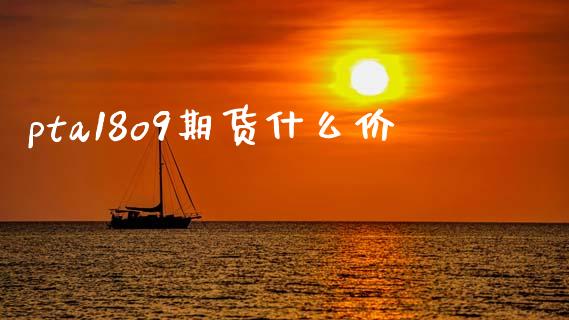 pta18o9期货什么价_https://m.fansifence.com_消费金融_第1张