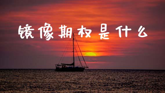 镜像期权是什么_https://m.fansifence.com_个股行情_第1张
