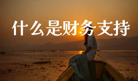 什么是财务支持_https://m.fansifence.com_个股行情_第1张