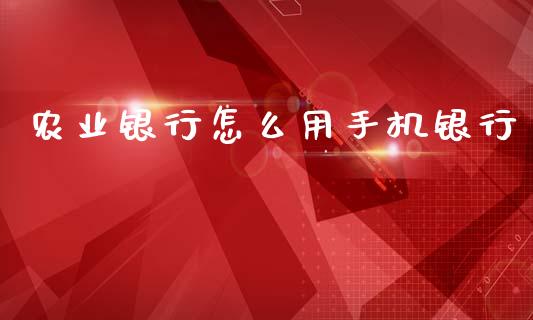 农业银行怎么用手机银行_https://m.fansifence.com_公募基金_第1张