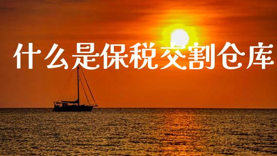 什么是保税交割仓库_https://m.fansifence.com_个股行情_第1张